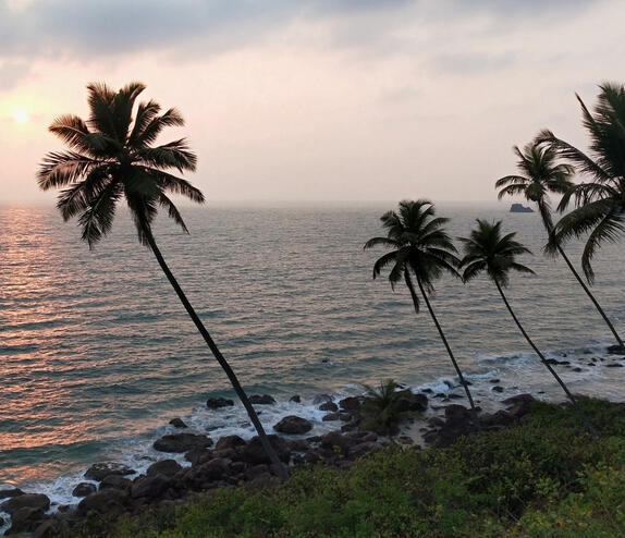 Click here for Sweet Earth Goa Guide Cabo de Rama, South Goa. Palm trees overlooking a rocky shoreline and sunset ocean views.