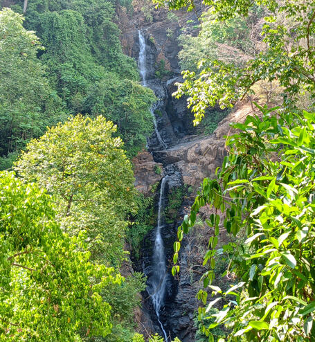 Click here for Sweet Earth Goa Guide - Find inspiration for exploration in our guidebook :D We share our favorite spots to eat and places to discover.