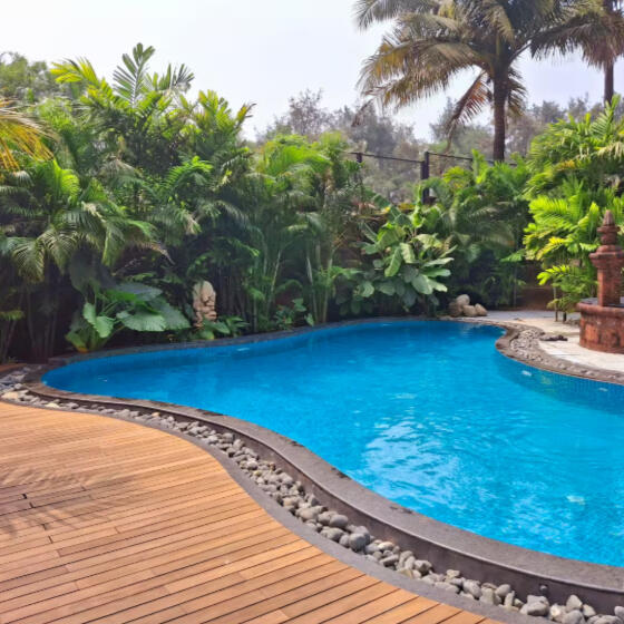 Lovely tropical pool