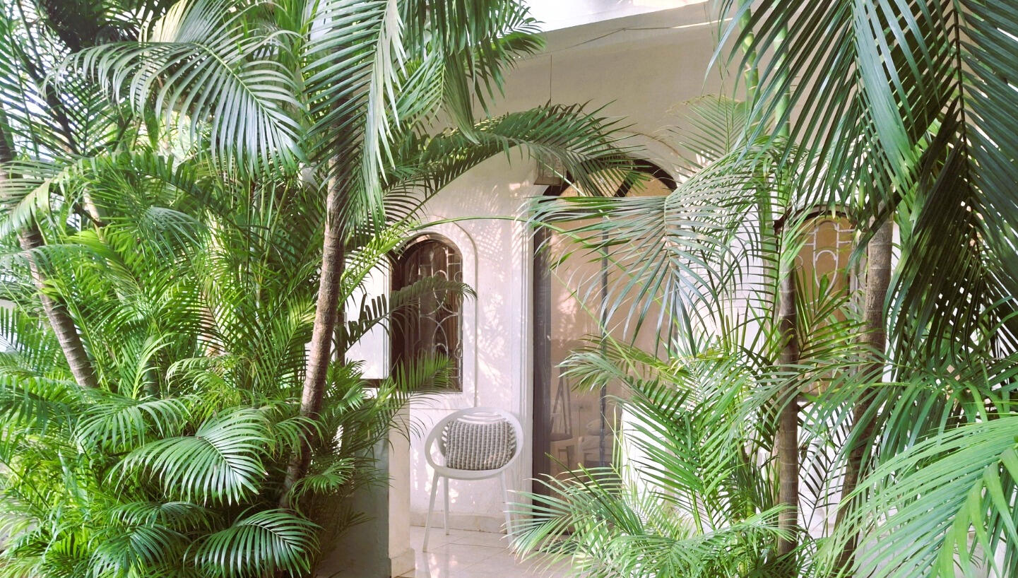 Click here for Chikoo apartment Private entrance surrounded by lush tropical plants and shaded patio.
