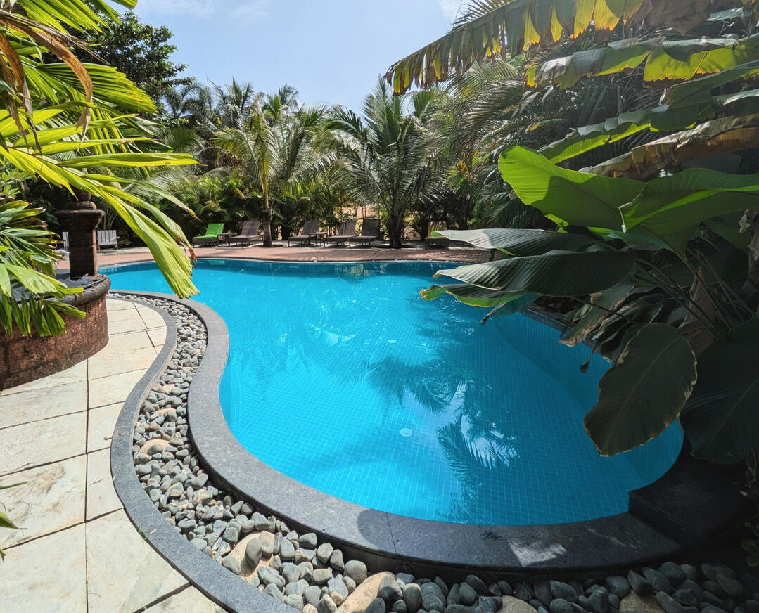 Tropical pool - 2 minute walk Curved outdoor pool surrounded by tropical palms and lush gardens.