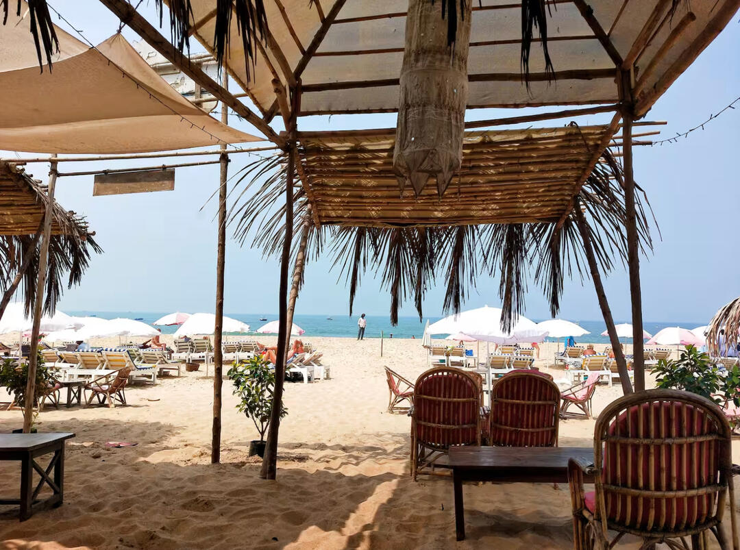 Bongo shack! Bongo shack! All year sea views and lovely food and drinks.
